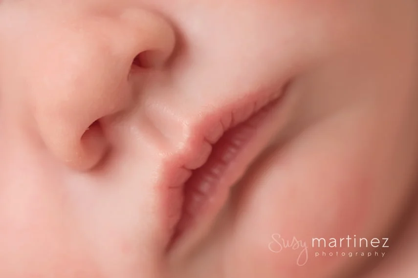 Las Vegas Newborn Photographer