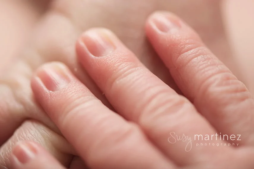 Las Vegas Newborn Photographer