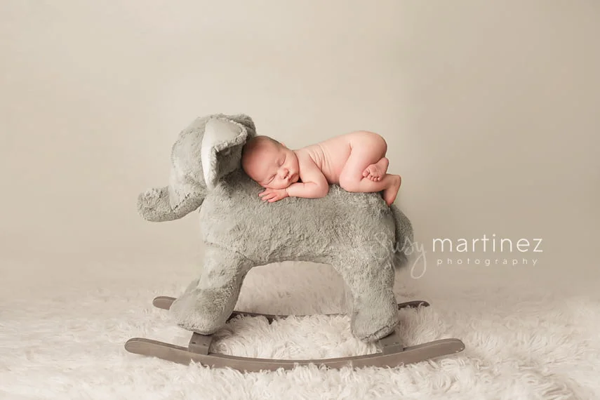 Las Vegas Newborn Photographer