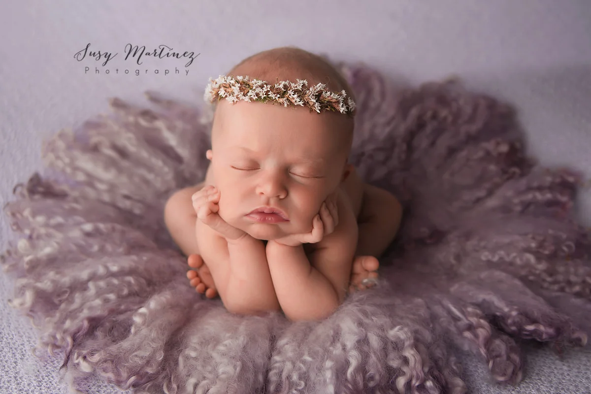 Henderson Newborn Photography | Bump To Baby, purple, lavender, girl