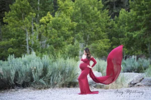 Mt Charleston Maternity Photographer