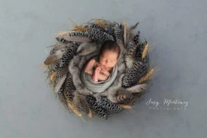 Newborn Baby Boy in Henderson Studio