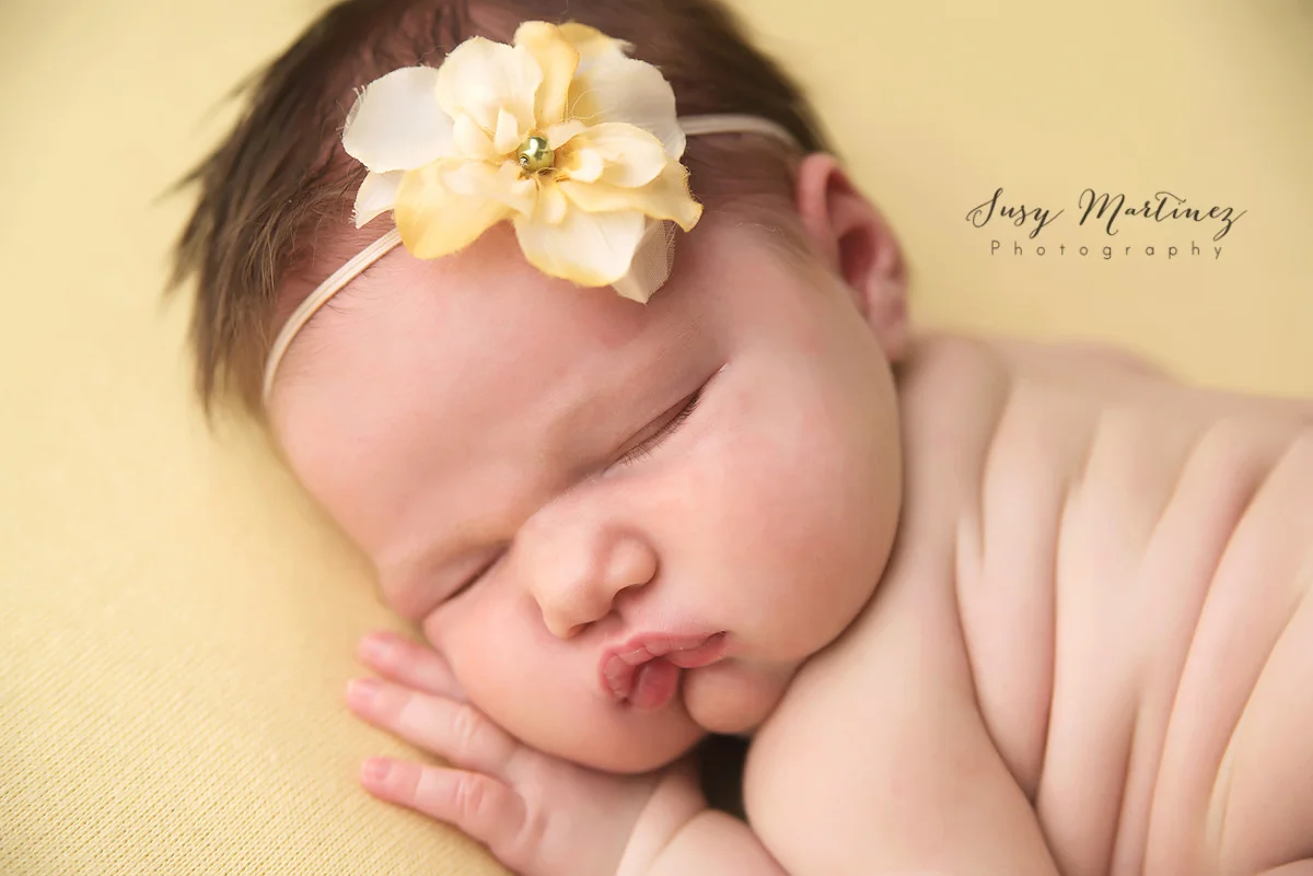 Henderson Newborn Baby Girl Session