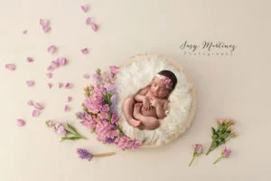 Henderson Mini Newborn Session