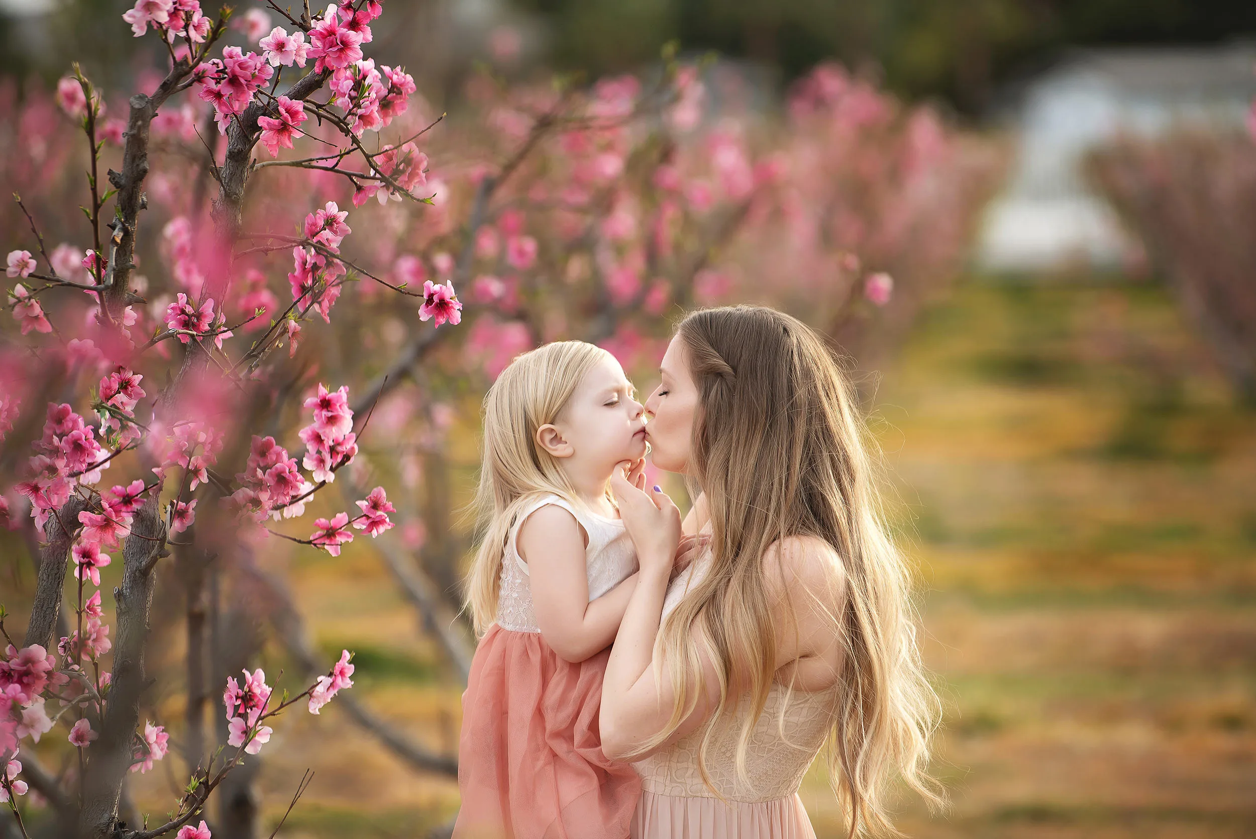 gilcrease-orchard-las-vegas-child-photographer