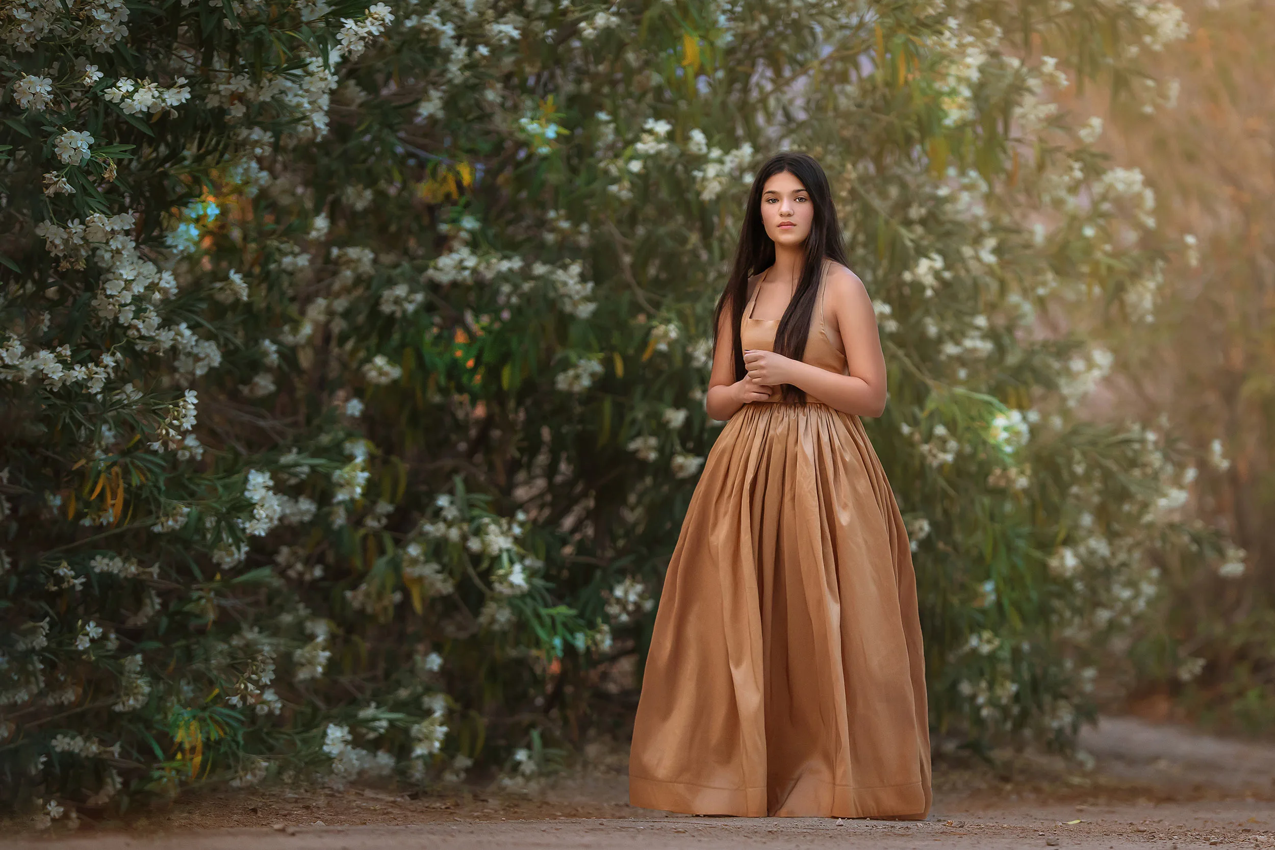 high end luxury ball gown princess dress portraits session las vegas