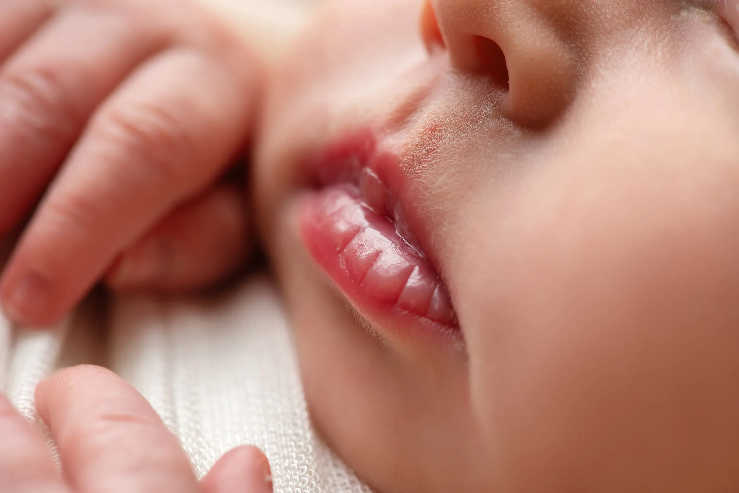 las vegas newborn baby photographer